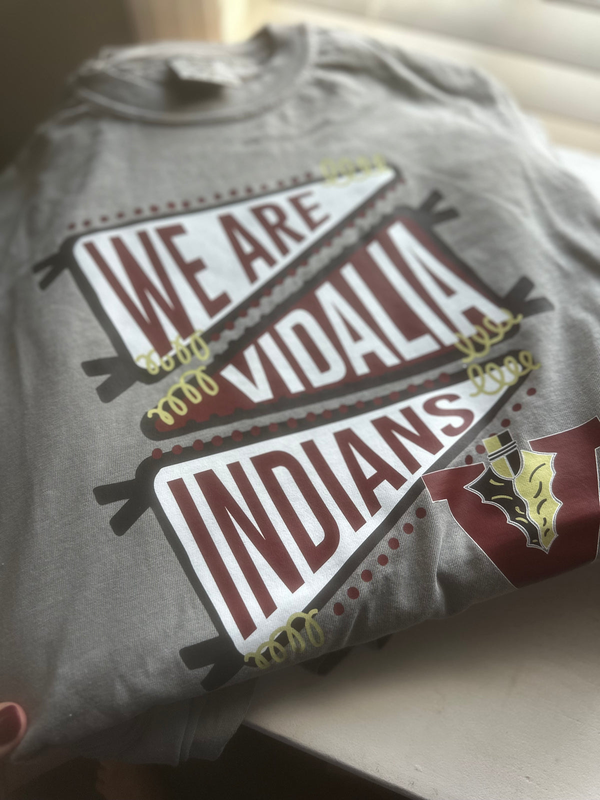 We Are - Vidalia Indians