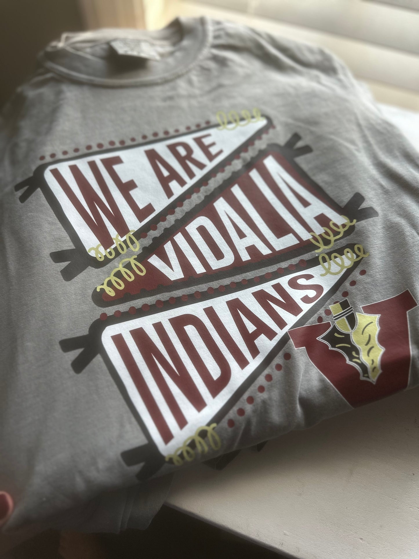 We Are - Vidalia Indians